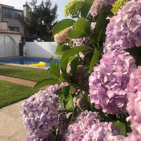 Lägenhet Cova Dos Frei Vigo