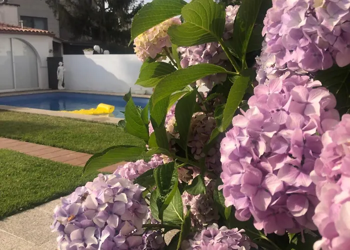 Apartamento Cova Dos Frei Vigo